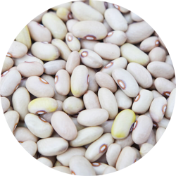 Legumes