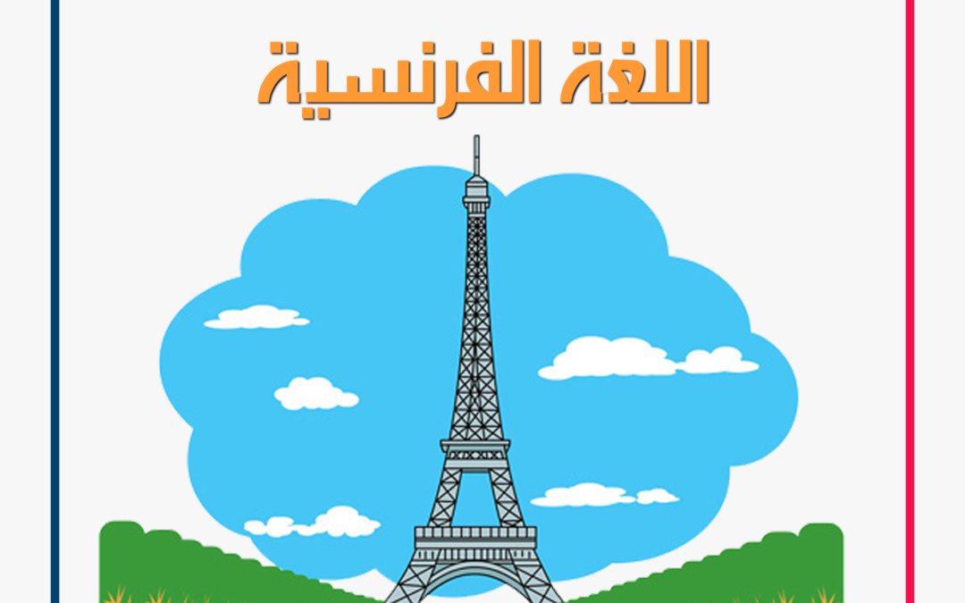 French Language Information Social Media