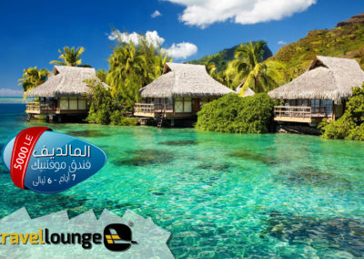 Travel Lounge EGYPT Social Media Images