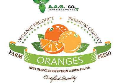 Agro Alex Orange wrapping paper – Moustafa Khalil portfolio